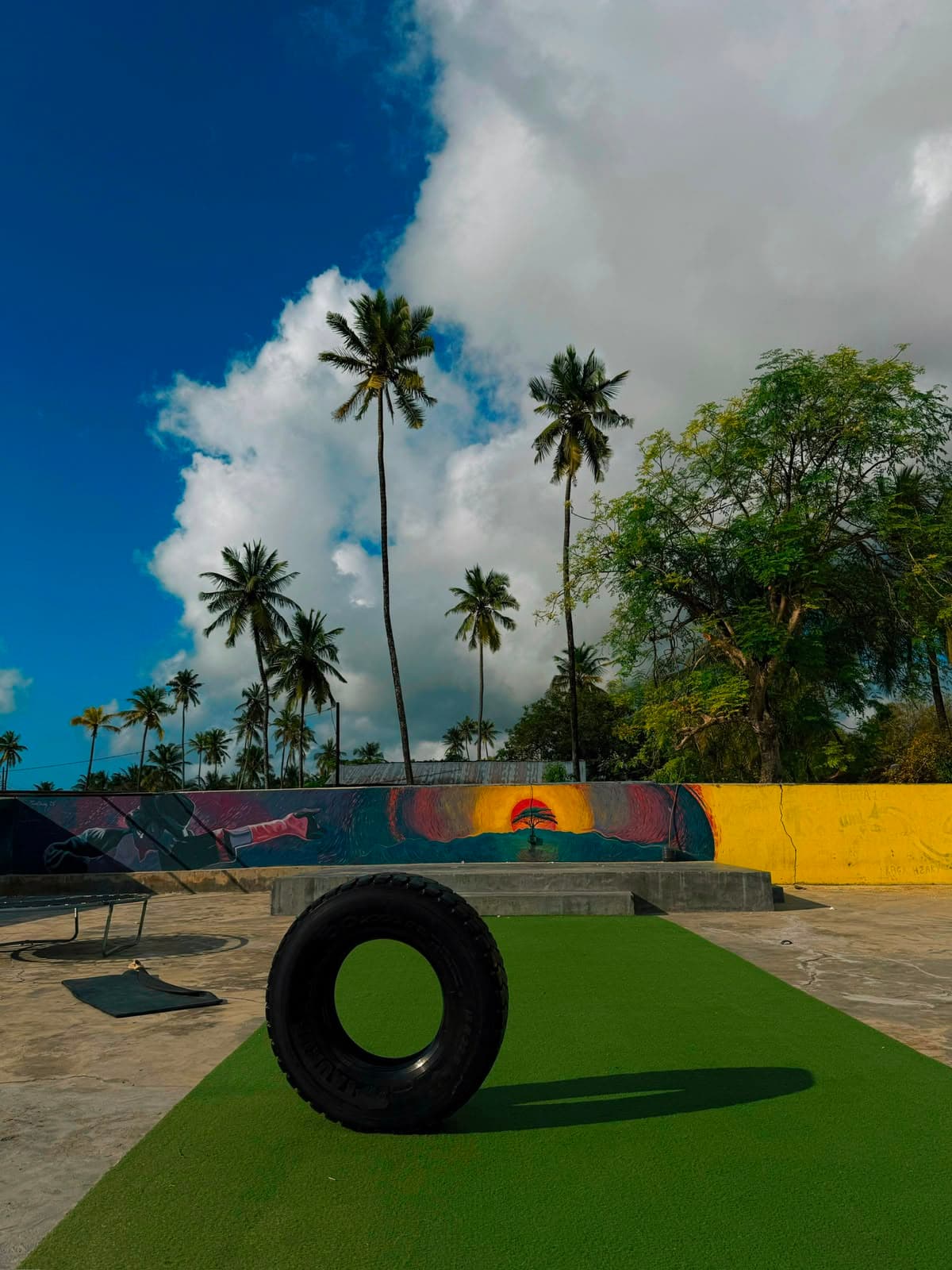 The Move Zanzibar training yard, with its painted mural wall, palm trees, and training equipment on the astroturf